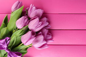 Язык цветов: тюльпан как символ